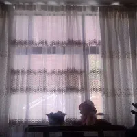 پرده تورگیپور آستردار درحدنو شیک|پرده، رانر، رومیزی|اصفهان, ملک‌شهر|دیوار