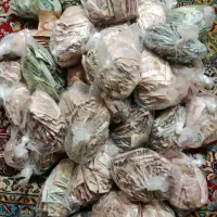 شاهی و جمهوری|کلکسیون سکه، تمبر، اسکناس|کاشان, امام خمینی|دیوار