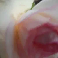 بلیط بانوان پرسپولیس خیبر