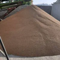 دانه گسترطاها گندم ارزن مرغ کبوتر|لوازم جانبی حیوانات|شیراز, پودنک|دیوار