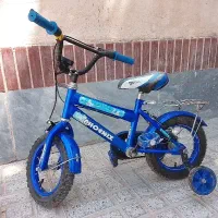 دوچرخه فونیکس ۱۲