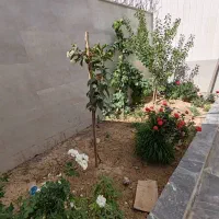 واحد صفر خاص همراه با ۲۰ متر تراس/ بر اصلی|فروش آپارتمان|شاهین‌شهر, شهرک هشت بهشت|دیوار