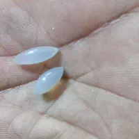 مهره یشم،مهره هبهاب،شرط تست خاصیت دار و محافظ|بدلیجات|همدان, |دیوار