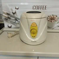 مینی سرخ کن