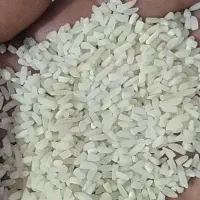 برنج سرلاشه|حراج|الوند, |دیوار