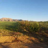 زمین-باغی