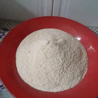 پودر سیر تازه