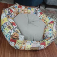 فروش لوازم گربه