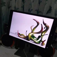 مانیتور Dell مدل p2214hb|قطعات و لوازم جانبی رایانه|مشکیندشت, |دیوار