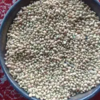 ترخینه روغن محلی|خوردنی و آشامیدنی|هرسین, |دیوار