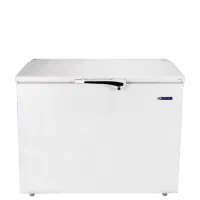 فریزر صندوقی ایستکول مدل 40320