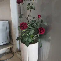 گل و گلدان