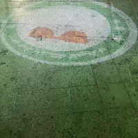پرژکتور تبلغاتی باطرح دلخواه