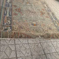 قالی|فرش|کوهدشت, |دیوار