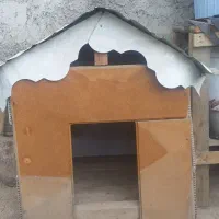 لانه سگ