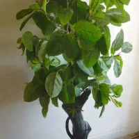 درختچه مصنوعی