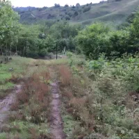 باغ جنگلی بلوردکان گیلان|فروش زمین و ملک کلنگی|اطاقور, |دیوار