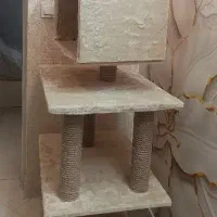 اسکرچر