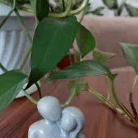 مجسمه و گلدان کوچک ضد اب