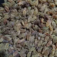 محصولات ارگانیک کامو|خوردنی و آشامیدنی|کاشان, فاز ۲ ناجی آباد|دیوار