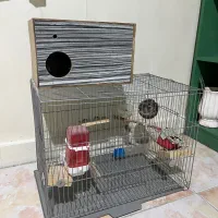 قفس پرنده و لونه تخم گذاری
