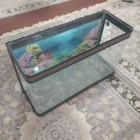 آکواریوم نوار دار شیشه خم دلیجان