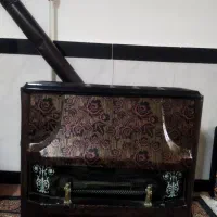 بخاری در حد نوع