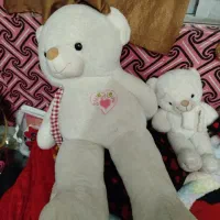 دو عدد خرس کوچک بزرگ|اسباب‌بازی بچه|مبارکه, |دیوار