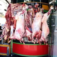 استخدام نیروی کار در مغازه