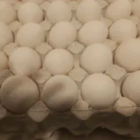 تخم مرغ کارتنی|خوردنی و آشامیدنی|کرمانشاه, |دیوار