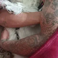 واگزاری واگزاری