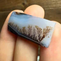 شجر قائن|جواهرات|قم, شهرک امام حسین|دیوار