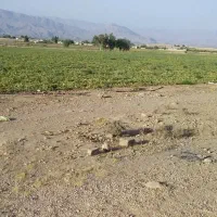 اجاره دادن زمین کشاورزی
