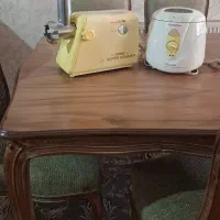 چرخ گوشت و سرخکن