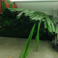 الکتریکی لوله پلیکا لوله pvc قوطی کلید زانو