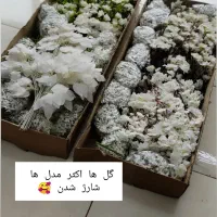 گل و گلدان|حراج|بندرعباس, |دیوار