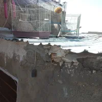 قفس پرنده