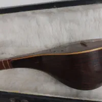 سه تار خوش دست و خوش صدا