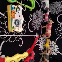 اسباب بازی درحدنو|اسباب‌بازی بچه|رامیان, |دیوار