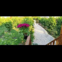 اجازه باغ ویلا|اجارهٔ کوتاه‌مدت ویلا و باغ|دزفول, |دیوار