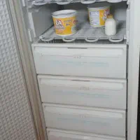 فریزر پارس