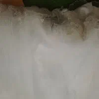 دوتا لباس عروس|لباس|اراک, |دیوار