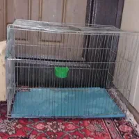 دو عددقفس عروس هلندی مرغ عشق|لوازم جانبی حیوانات|ارومیه, |دیوار