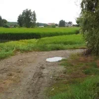 زمین-110-متری-فین-بزرگ