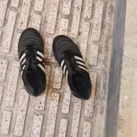 کفش ورزشی سالنی