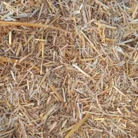 کاه|لوازم جانبی حیوانات|شراء, |دیوار