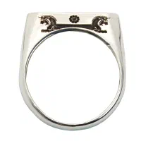 انگشتر فروهر و شیردال و سربازهای هخامنشی|بدلیجات|تهران, بازار|دیوار