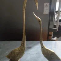 دوعدد قوی برنزی