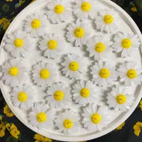 گیفت|صنایع دستی و سایر لوازم تزئینی|آبپخش, |دیوار