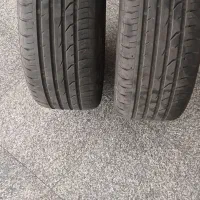 لاستیک دناپلاس بارز